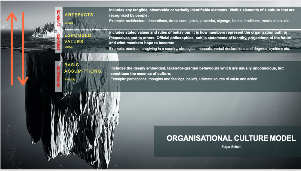 Organizational Culture